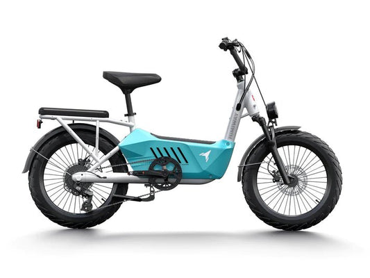 Himiway C3 Cargo - Freedom Mobility