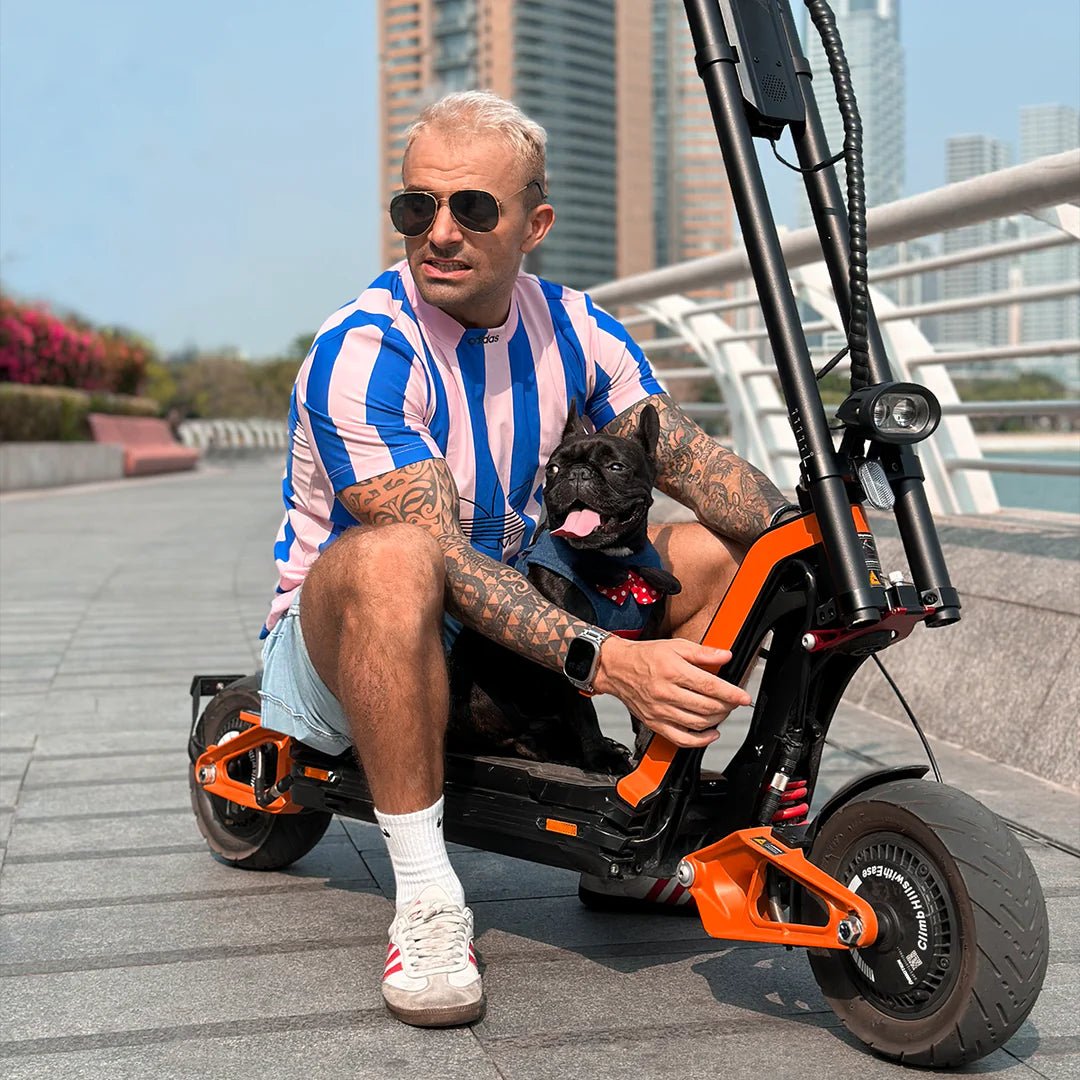 INMOTION RS LITE *COMING SOON* - Freedom Mobility