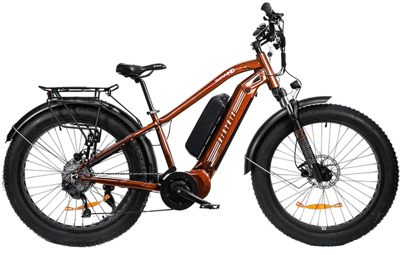 Biktrix Juggernaut Classic Duo Step-Over - Freedom Mobility