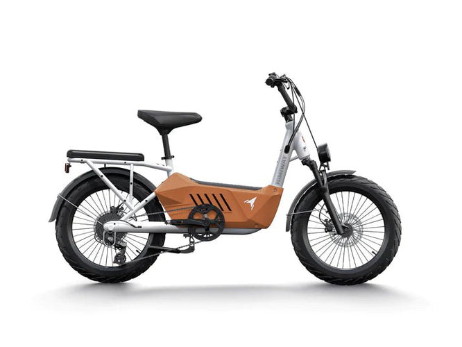 Himiway C3 Cargo - Freedom Mobility
